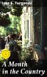 A Month in the Country (eBook, ePUB) - Bild 1