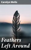 Feathers Left Around (eBook, ePUB)