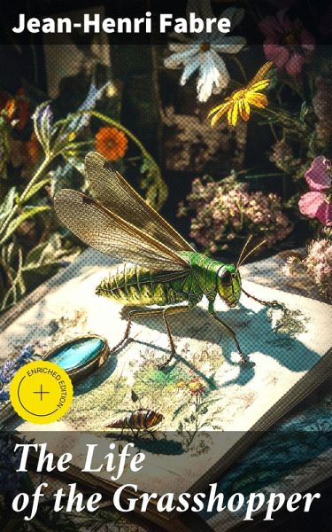 The Life of the Grasshopper (eBook, ePUB)
