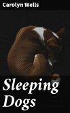 Sleeping Dogs (eBook, ePUB)