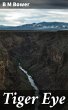 Tiger Eye (eBook, ePUB) - Bild 1