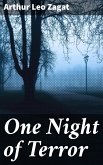 One Night of Terror (eBook, ePUB)