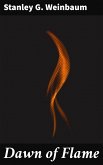 Dawn of Flame (eBook, ePUB)