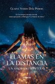 Llamas en la distancia (eBook, ePUB)
