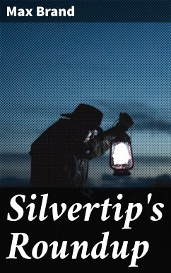 Silvertip's Roundup (eBook, ePUB) - Brand, Max