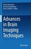 Advances in Brain Imaging Techniques (eBook, PDF)