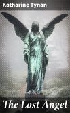 The Lost Angel (eBook, ePUB)