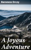 A Joyous Adventure (eBook, ePUB)