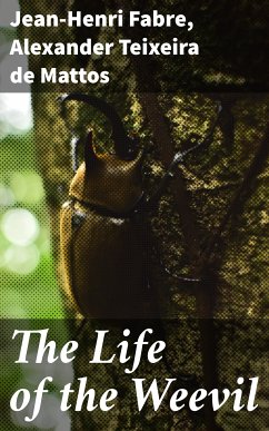 The Life of the Weevil (eBook, ePUB) - Fabre, Jean-Henri; Mattos, Alexander Teixeira de