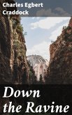 Down the Ravine (eBook, ePUB)