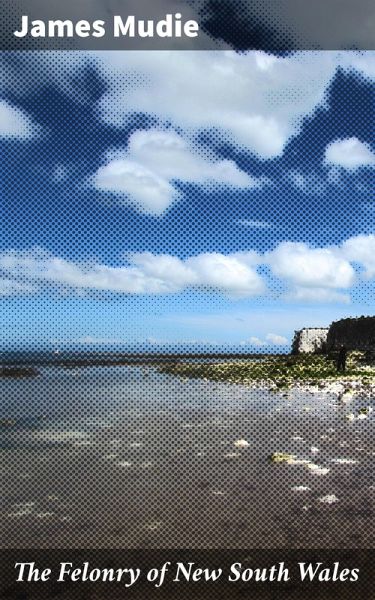 The Felonry of New South Wales (eBook, ePUB)
