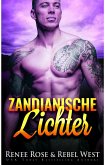 Zandianische Lichter (eBook, ePUB)