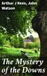 The Mystery of the Downs (eBook, ePUB) - Bild 1
