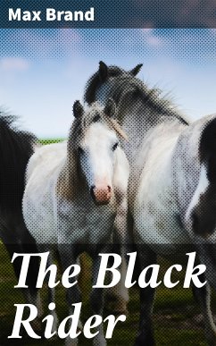 The Black Rider (eBook, ePUB) - Brand, Max