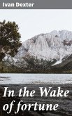 In the Wake of fortune (eBook, ePUB)