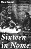 Sixteen in Nome (eBook, ePUB)