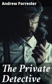 The Private Detective (eBook, ePUB)