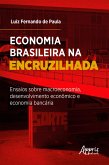 Economia Brasileira na Encruzilhada: Ensaios sobre Macroeconomia, Desenvolvimento Econômico e Economia Bancária (eBook, ePUB)