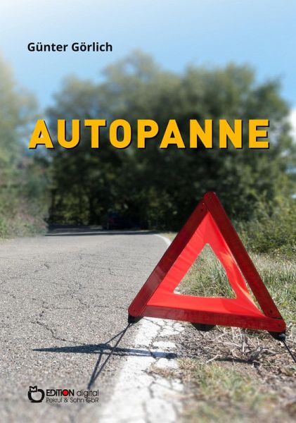Autopanne (eBook, ePUB)