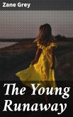 The Young Runaway (eBook, ePUB)