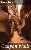 Canyon Walls (eBook, ePUB)