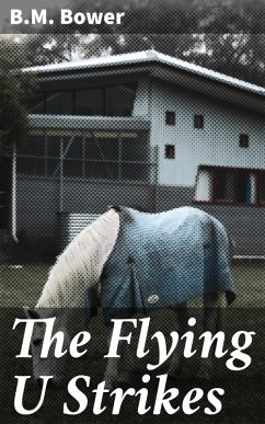 The Flying U Strikes (eBook, ePUB) - Bower, B. M.