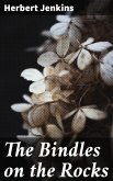 The Bindles on the Rocks (eBook, ePUB)