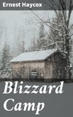 Blizzard Camp (eBook, ePUB)