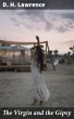 The Virgin and the Gipsy (eBook, ePUB) - Bild 1
