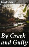 By Creek and Gully (eBook, ePUB)