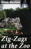 Zig-Zags at the Zoo (eBook, ePUB)
