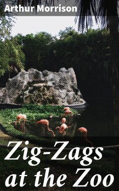Zig-Zags at the Zoo (eBook, ePUB) - Morrison, Arthur