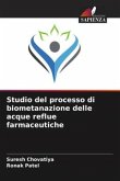 Studio del processo di biometanazione delle acque reflue farmaceutiche