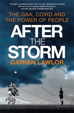 After the Storm - Lawlor, Damian