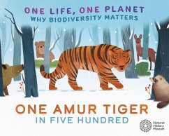 One Life, One Planet: One Amur Tiger in Five Hundred - Ridley, Sarah