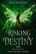 Risking Destiny - Bild 1