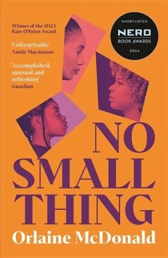 Cover No Small Thing