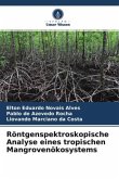 Röntgenspektroskopische Analyse eines tropischen Mangrovenökosystems