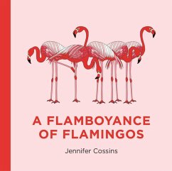 Cover A Flamboyance of Flamingos