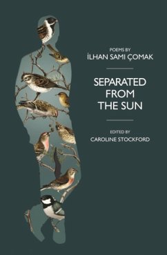 Separated from the Sun - Comak, Ilhan