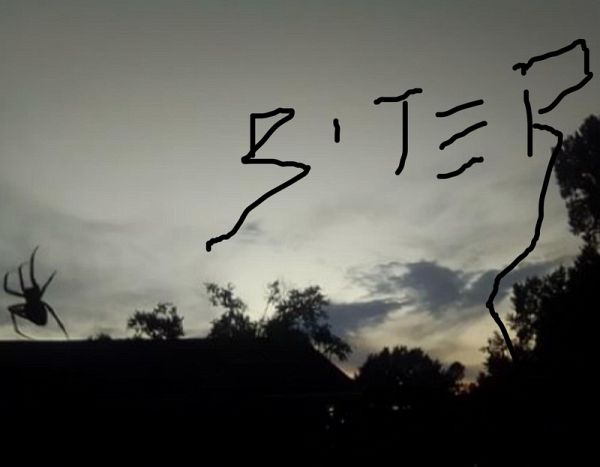 Biter (The Biter Series) (eBook, ePUB)