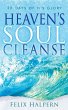 Heaven's Soul Cleanse - Bild 1