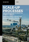 Scale-Up Processes (eBook, ePUB)