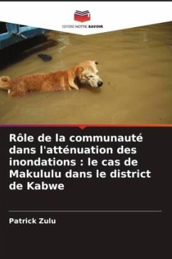 Rôle de la communauté dans l'atténuation des inondations : le cas de Makululu dans le district de Kabwe - Zulu, Patrick