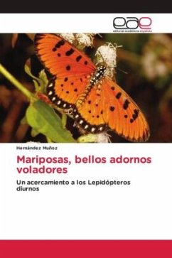 Mariposas, bellos adornos voladores