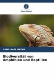 Biodiversität von Amphibien und Reptilien