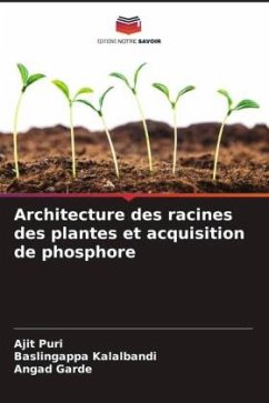 Architecture des racines des plantes et acquisition de phosphore - Puri, Ajit;Kalalbandi, Baslingappa;Garde, Angad