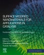Surface Modified Nanomaterials for... - Bild 1