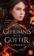 Flammen (eBook, ePUB) - Bild 1