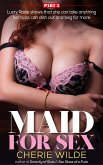 Maid for Sex: Part 2 (eBook, ePUB)